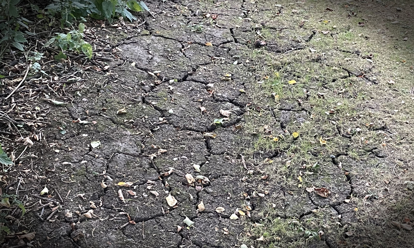 The problem of bare soil